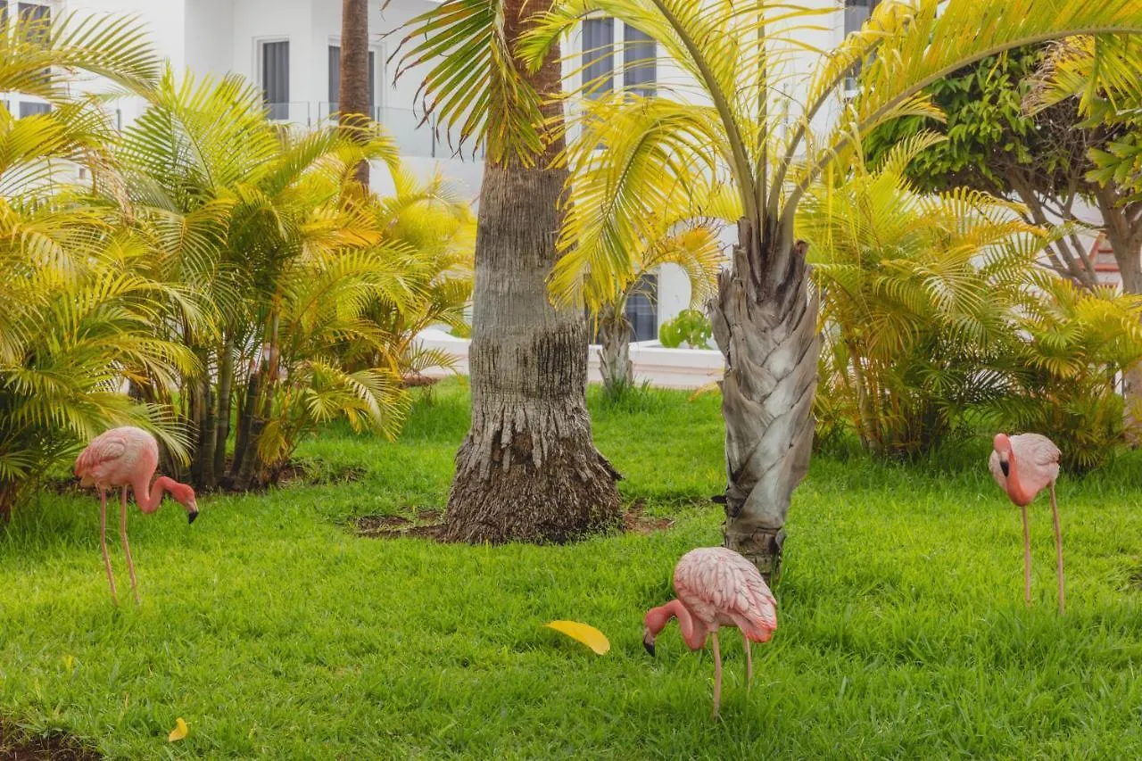 Flamingo Beach Mate أذيخي فندق